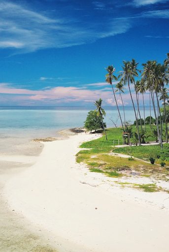 3D2N Flights + Hotel stay from